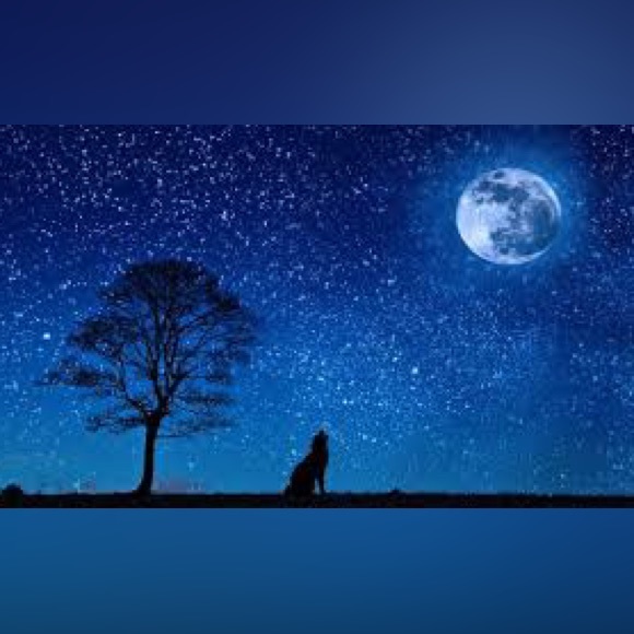 🌸Meet Your Posher🛍️💐 - Picture 14 of 14